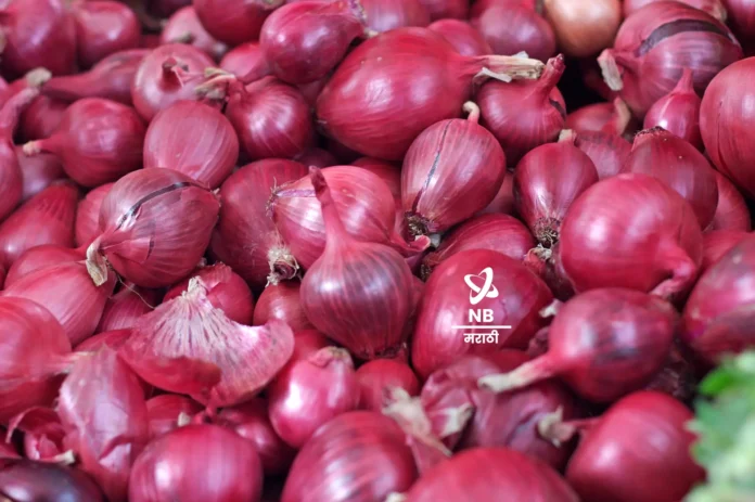 NB Marathi Onion Export Devendra Fadnavis