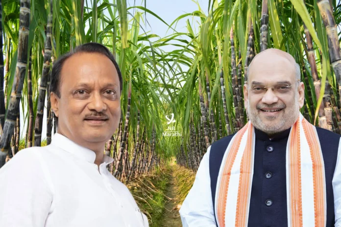 NB Marathi-Ajit Pawar-Amit Shah-Sugarcane Farmers-Ethanol Production