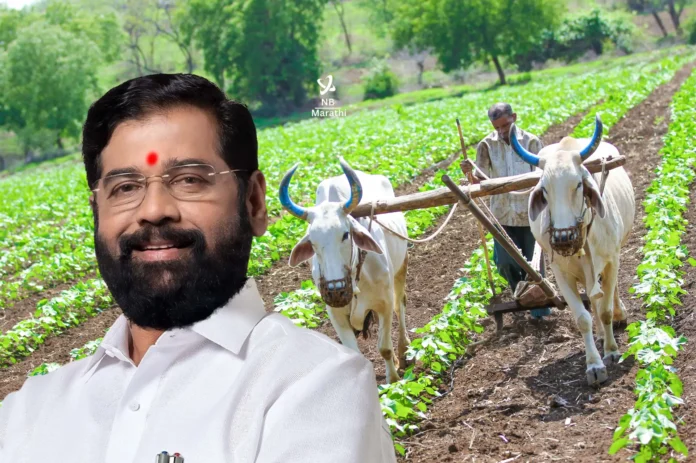 NB Marathi-CM Eknath Shinde-Farmer