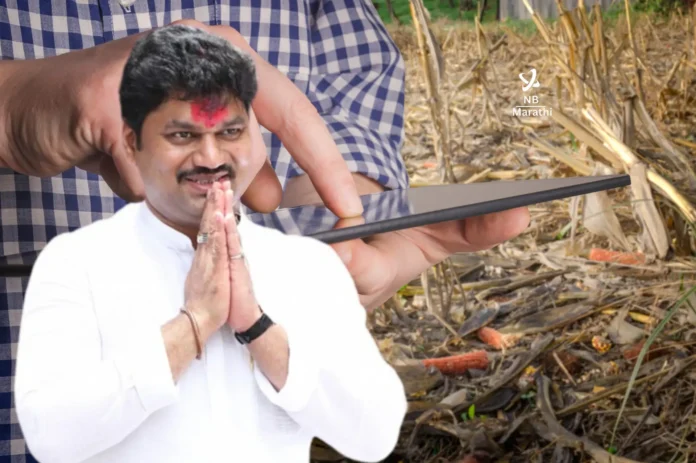 NB Marathi-NB Marathi-Extension of deadline till July 31 for payment of crop insurance; Success to the efforts of Agriculture Minister Dhananjay Munde