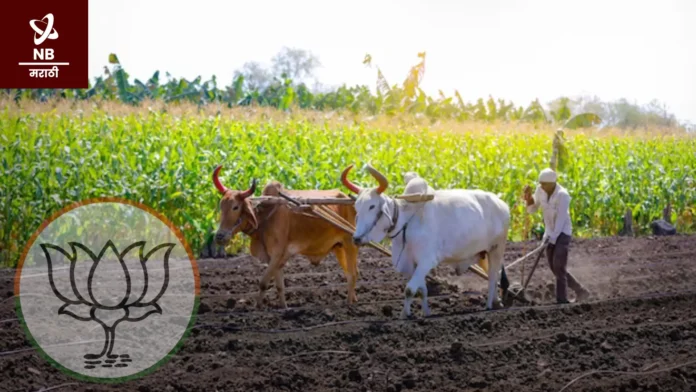 गेल्या दशकभरात कृषि धोरण सकारात्मक वाटचालीकडे