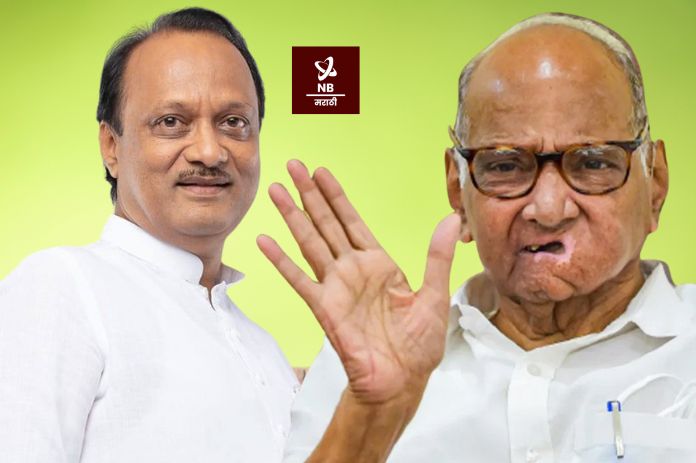 NB Marathi-NCP-Ajit Pawar-Sharad Pawar