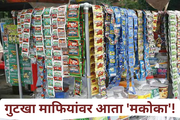 NBMarathi_MCOCA_Gutkha_Mafias