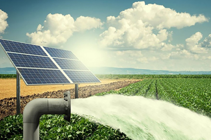 NBMarathi_Solar_Agricultural_Pump