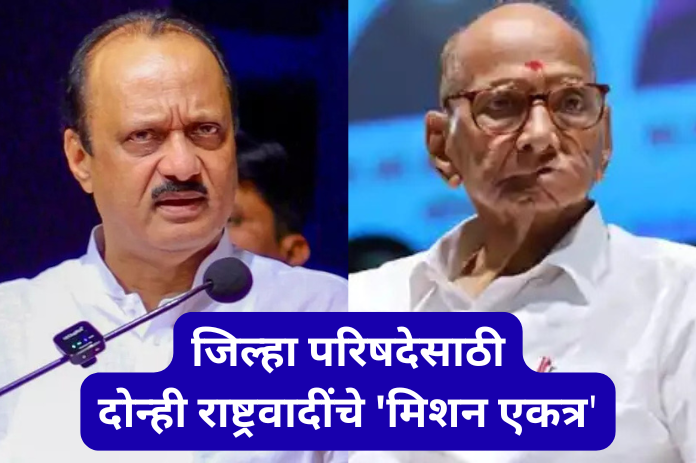 NBMarathi_SharadPawar_AjitPawar_ZPElection2026