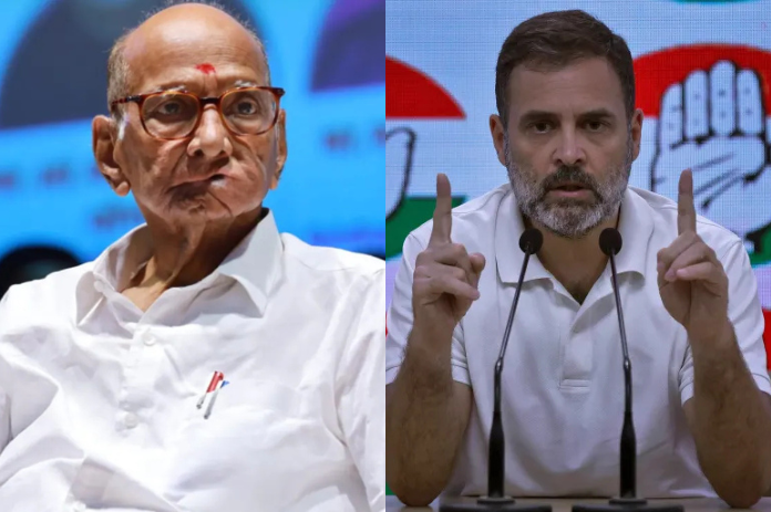 NBMarathi_SharadPawar_RahulGandhi