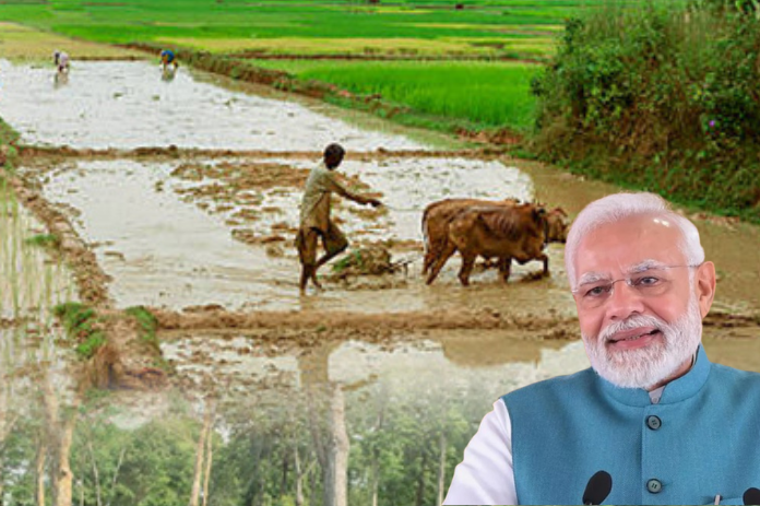 NBMarathi_PMKisanSammanNidhi